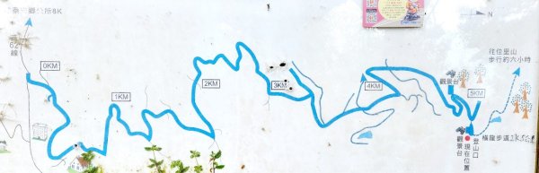 【中級山縱走】水雲三星，橫龍山，騰龍山，橫龍古道2742982