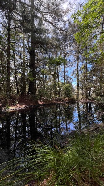 桃山、喀拉業2816812