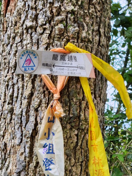 112/2/23龍鳳連稜2148198