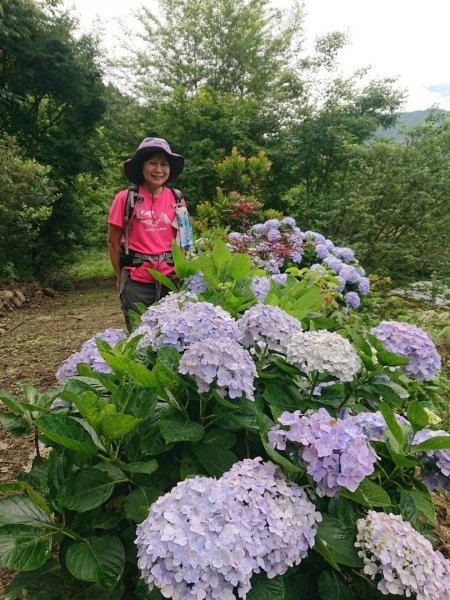 威赫山、多崖山、北插天山O走1746620