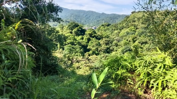 基隆市暖暖車站-暖壽山-暖東苗圃-頂寮山-清法戰爭砲台遺址-碇內3091349