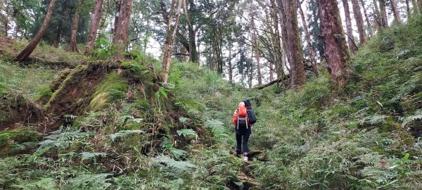 水漾森林、鹿屈山、眠月神木2729652