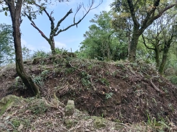 瑞芳區八分寮頂砲台+八分寮頂山+八分寮古道O型2772387