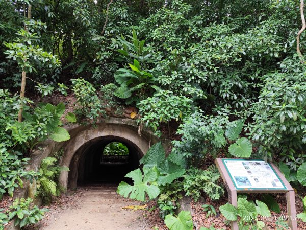 【臺北大縱走 6】富陽公園→福州山公園→中埔山東峰→軍功山→糶米古道→南港山→九五峰→中華科大步道2894732