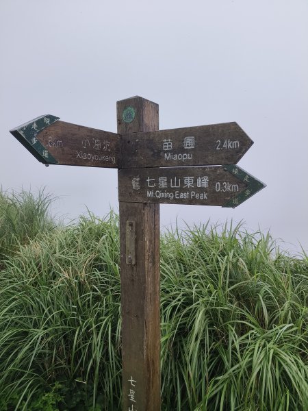 台北市-七星山3054387