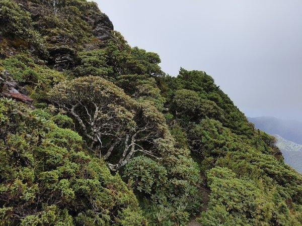 北一段(06/14)巴巴山 2025_0906~132886700