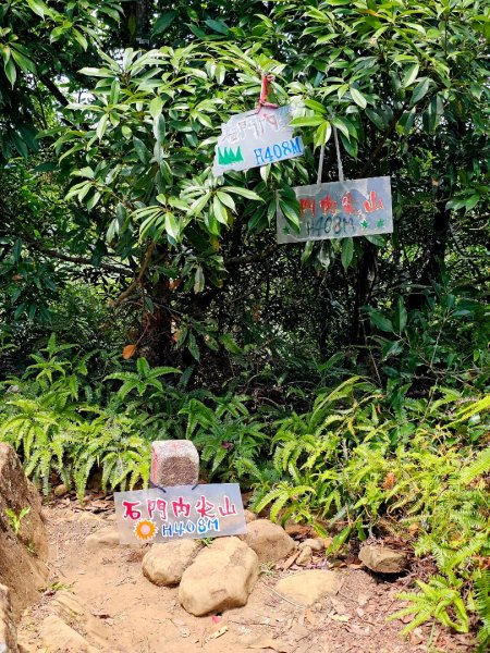(天上山系)望月亭桐花-2025微笑山線大縱走尋寶集章任務2870347