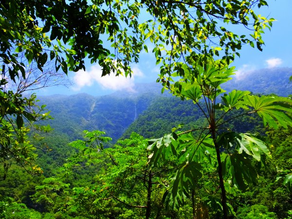 【走入山林，清涼一夏】宜蘭澳花瀑布步道633071