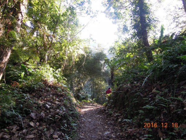 20161218_馬那邦山874316