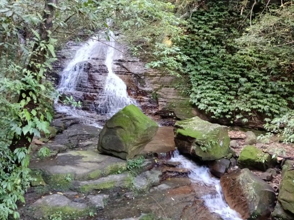 汐止區茄苳越嶺古道+上鹿窟崙山+九層坪山+四分尾山+大尖山8字走2981542