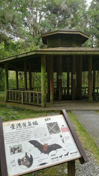 20180707漫步福山植物園380572