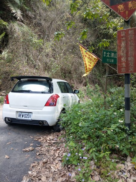 阿冷林道上阿冷山2020/3/22888348