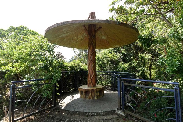 和美山｜新店碧潭步道2892088