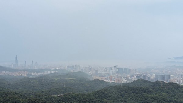 霧染大尖3074573