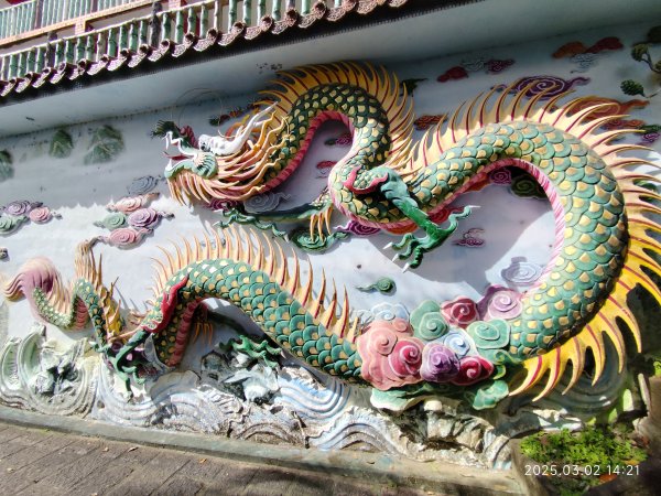 內湖碧山巖 櫻花隧道2724233