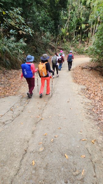 112/1/8苗栗縣頭屋鄉曲洞宮-墨硯山北峰-墨硯山-曲洞宮O型1992955