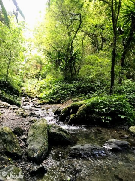 ●玩水●獼猴●賞蝶「聖母山莊步道」630394