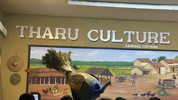 尼泊爾奇旺國家公園4天三夜2788951