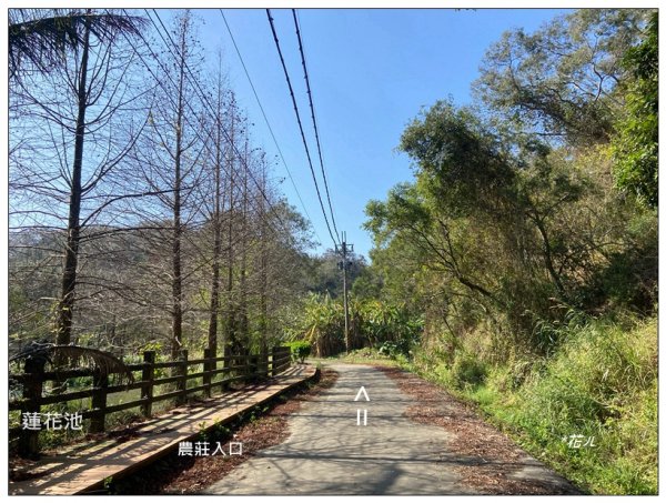 中央尖、山背伯公步道O型路線2708765