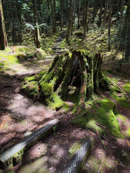 船型山-稍來小雪山國家步道3138043
