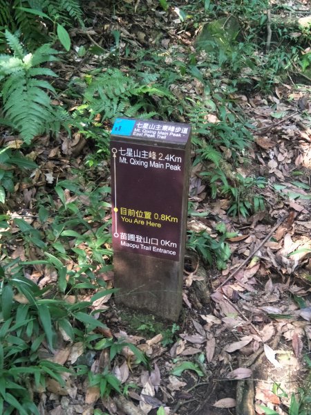 七星山主、東峰登山步道1682128