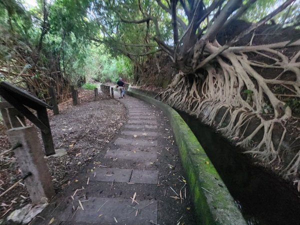 20250921學田山王田山大肚山大尖山竹坑山2928455