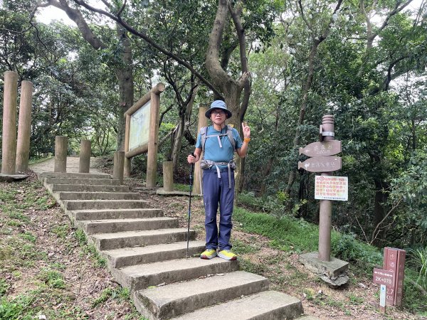 [微笑山線_第二段] 2025_0720 大棟山系_百年大榕樹2843321