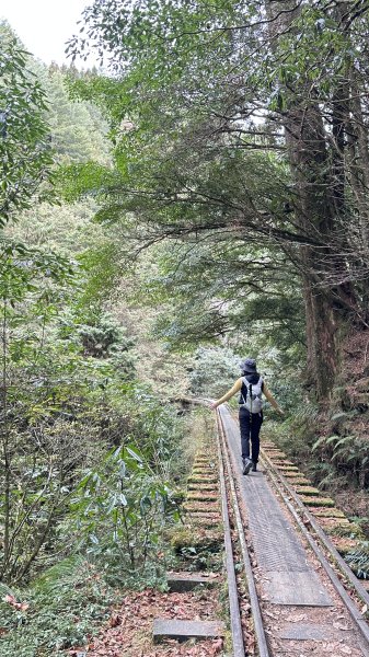 眠月線健行2993002