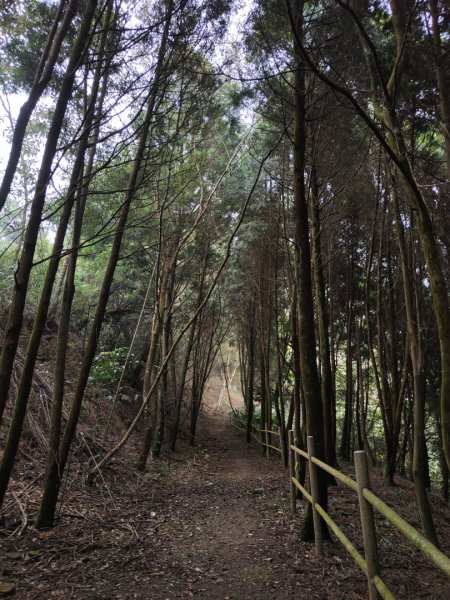 2023.12.24 大湖尖山2838734