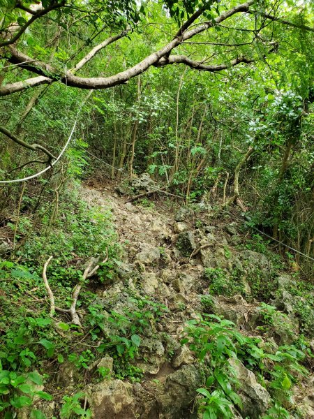 【高雄 | 小百岳壽山】1085258