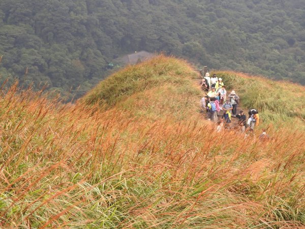七星山 冷水坑上小油坑下環七星山人車分道O繞 202511082934877