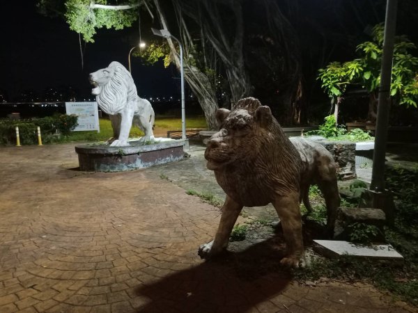 龍山河濱公園、大安森林公園、大港墘公園、花博公園圓山園區【走路趣尋寶】【臺北健走趣】2587899