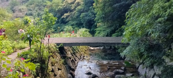 金山區大路崁古道-土地公步道-兩湖保甲路-水圳路3121298
