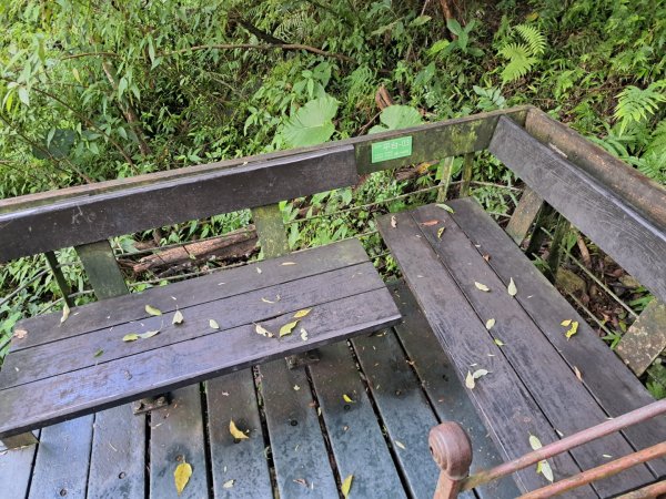 小百岳集起來立霧山登山步道，初音山步道3113466