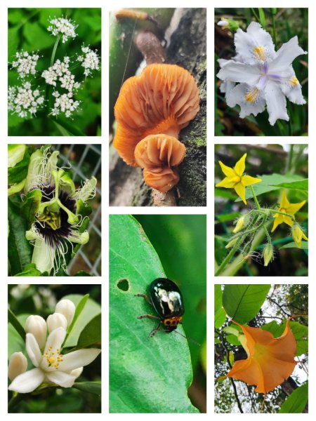 2026台北大縱走3014252