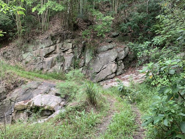 20240525高雄番子寮山-番子寮山主峰2517804