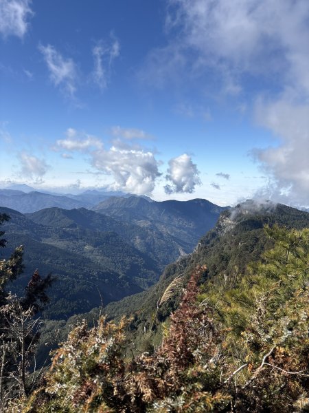 20251225塔山步道(大塔山)2970440