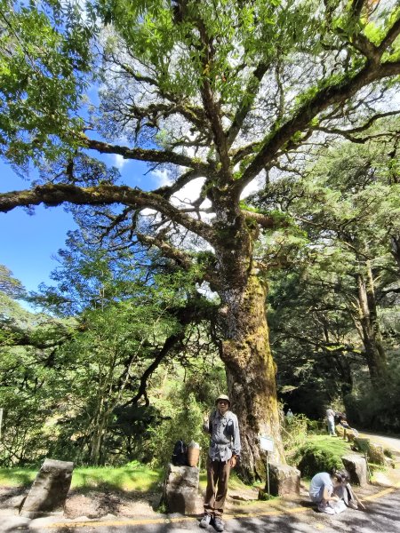 [玉山尋寶任務-09/12] 2025_0928 麟趾山步道2899884