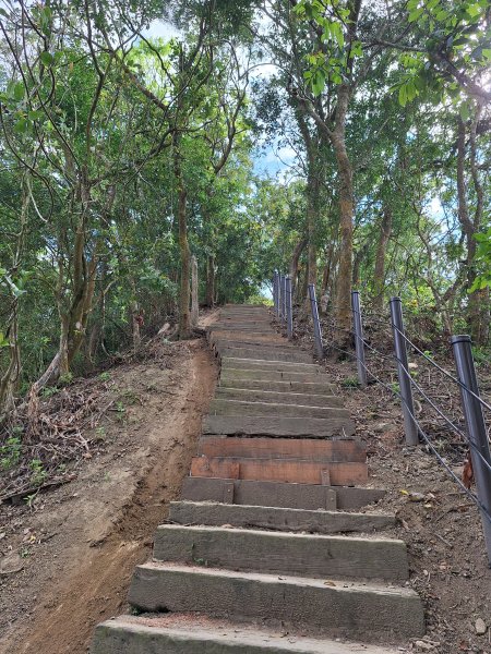 南化鈺鼎步道上糖子恩山+北峰202503152736906