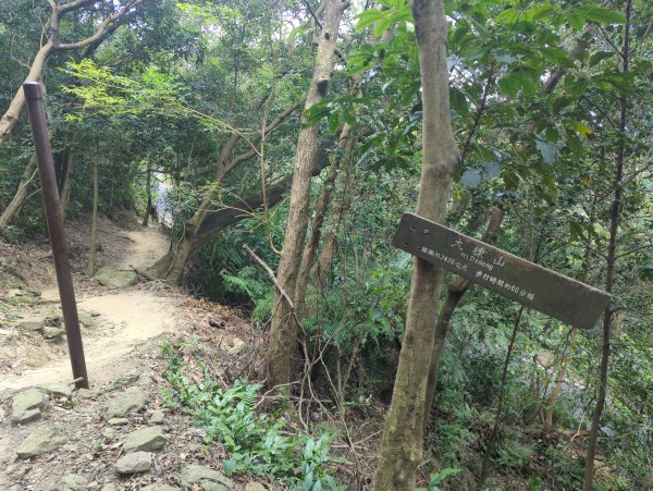 2025.08.30－微笑山線：【大棟山系】2874485