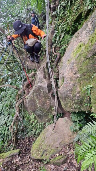 20260118五四縱走2984051