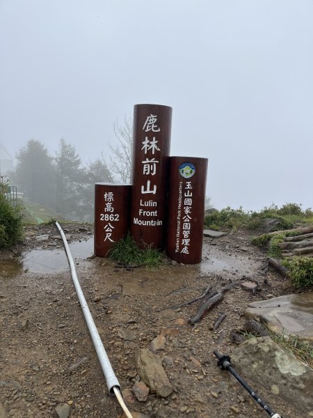 鹿林山-鹿林前山-真鹿林山-石水山-石水山基點峰 2025.5.252798419