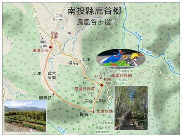 鳳凰谷步道(鹿谷鄉)2690423