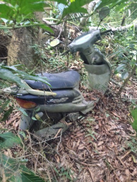 大棟山系南段 水利古道西口 上 竹高崙山 連走 鳥子嶺 坑仔內山 大崖山 下 龍目井農場2953179