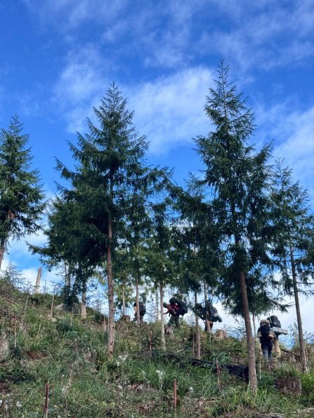 2025.11.30 西巒大山2952296