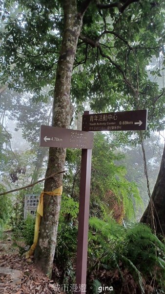 【南投魚池】中部四大名山之山高路遠。 水社大山登山步道2037914