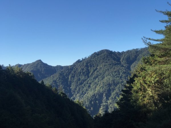 大雪山200林道北三錐山736920