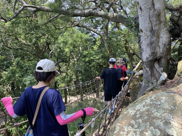 《夏日大坑同行記｜10號步道登稜線，與家人感受山風與人情味》2926359