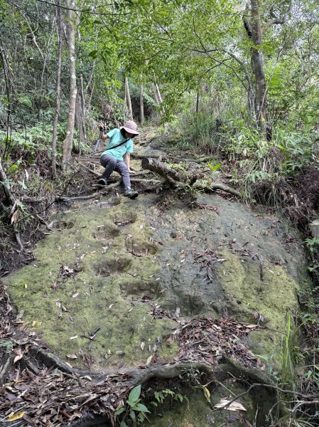 新山夢湖 小O繞 2025/05/302811044