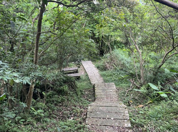 [微笑山線_第九段] 2025_0914 二格山系_皇帝殿西峰2889786